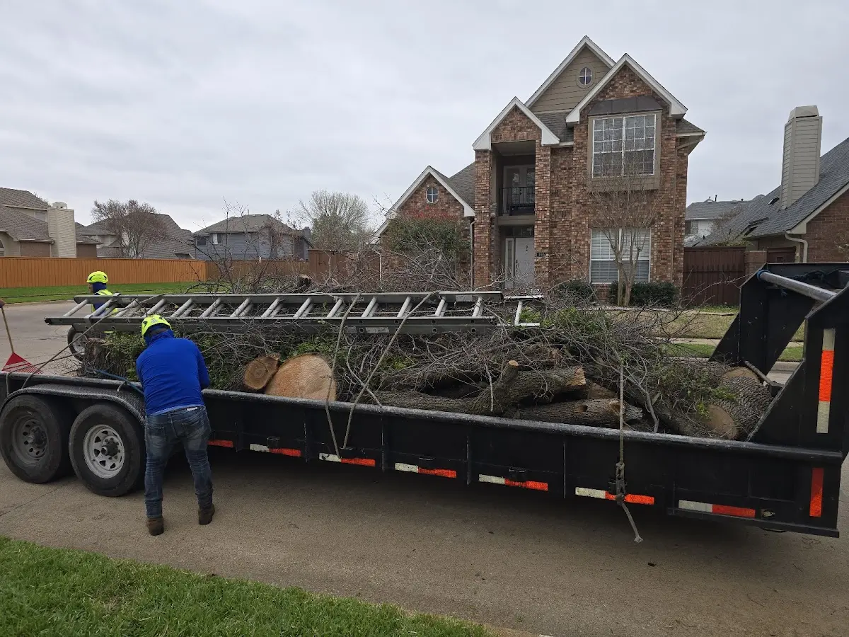 Expert Tree Fertilization with proper safety equipment in Hope Mills